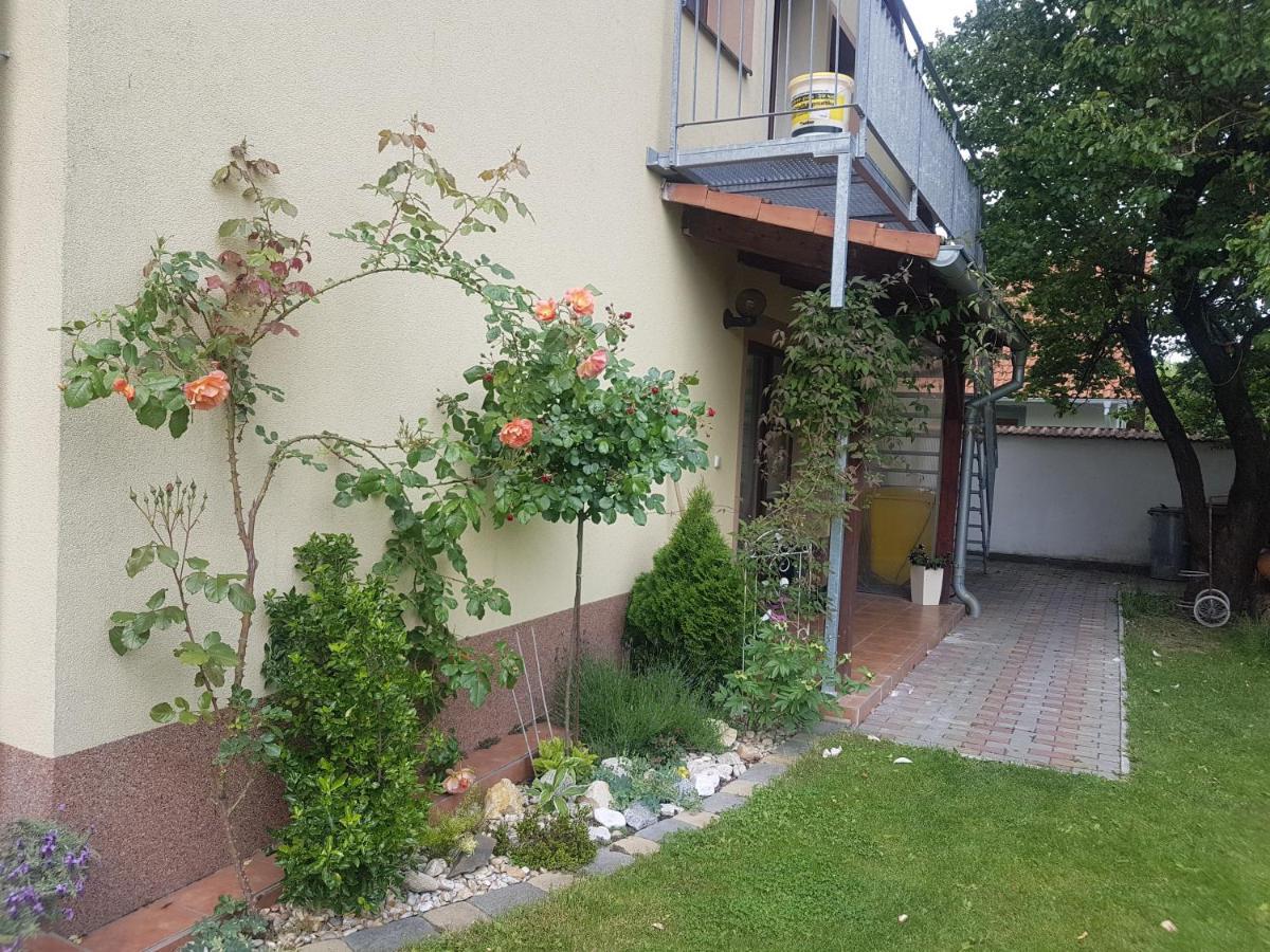 Ubytovani U Spacku Palava Novosedly  Exterior photo